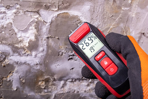 Mold Testing and Removal in River Road, OR